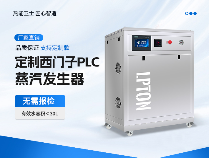 定制款西門子PLC蒸汽發(fā)生器